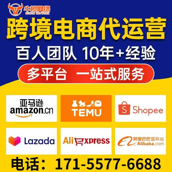 郴州电商代运营