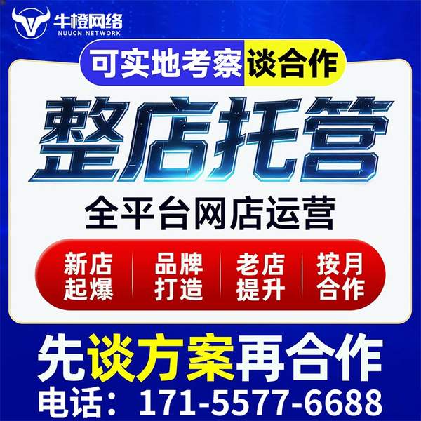 郴州电商代运营