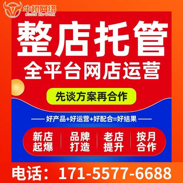 郴州电商代运营