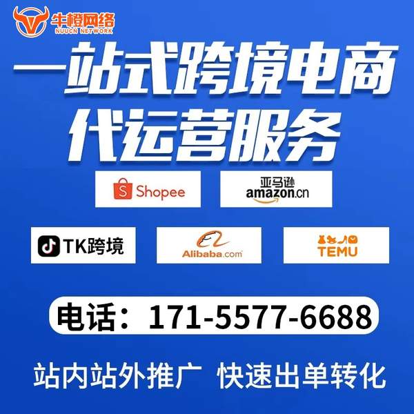 郴州电商代运营