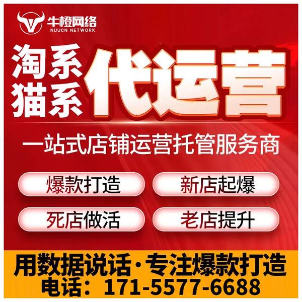郴州电商代运营